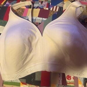 NWT! Cacique Women's  Bra